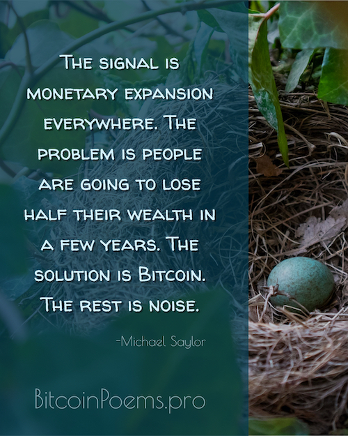 Bitcoin Quote 014 - The Solution is Bitcoin 
