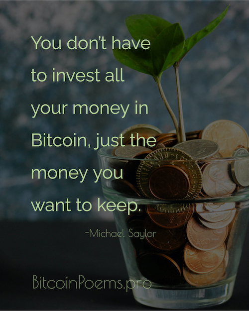 Bitcoin Quote 025 - invest the money you want to keep